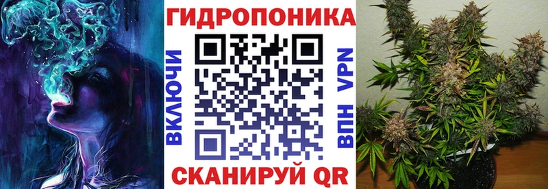 Галлюциногенные грибы Псков