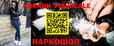 прущие крисы Кингисепп