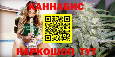 прущие крисы Кингисепп