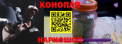 прущие крисы Кингисепп