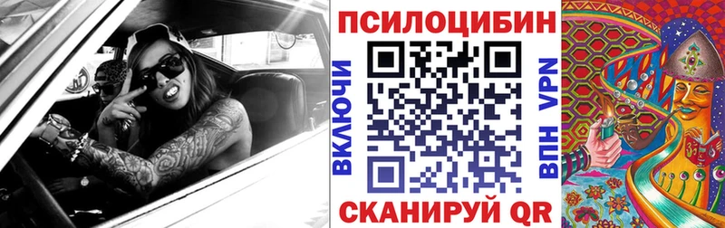 ОМГ ОМГ ТОР  Псков  Галлюциногенные грибы ЛСД 