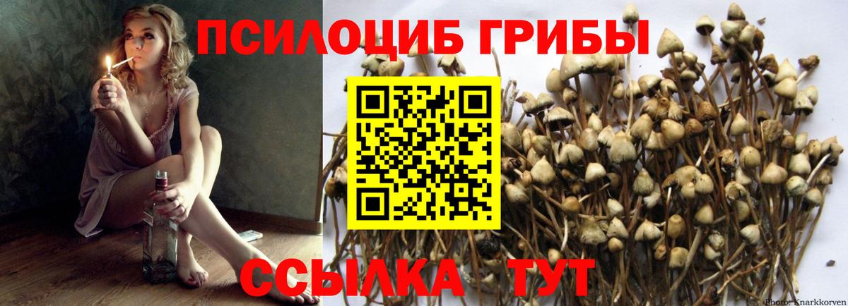 Галлюциногенные грибы Psilocybine cubensis  Псилоцибиновые грибы Psilocybine cubensis  Псков  Вход с VPN 